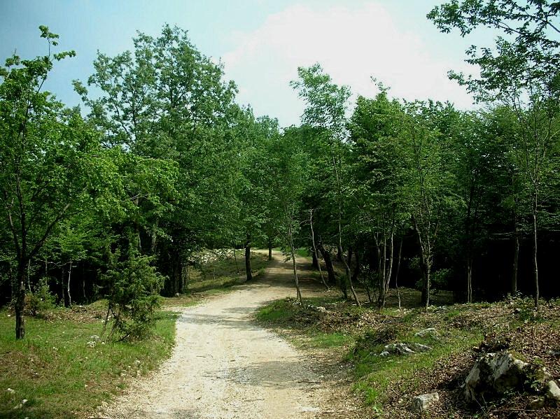 Una gitarella all''Altopiano di Caradeghe (Bs)